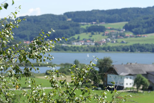 Blick auf das Salzburger Seenland